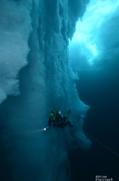 Mit Leinen gesicherter Tauchgang am Eisloch vor dem eingefrorenen Eisberg (Tasiilaq)