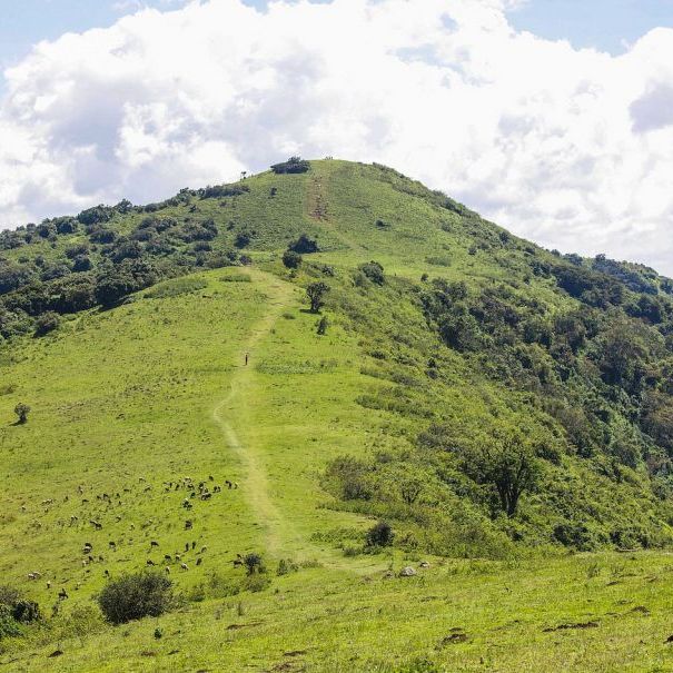 Ngong Hills Walking (3km)