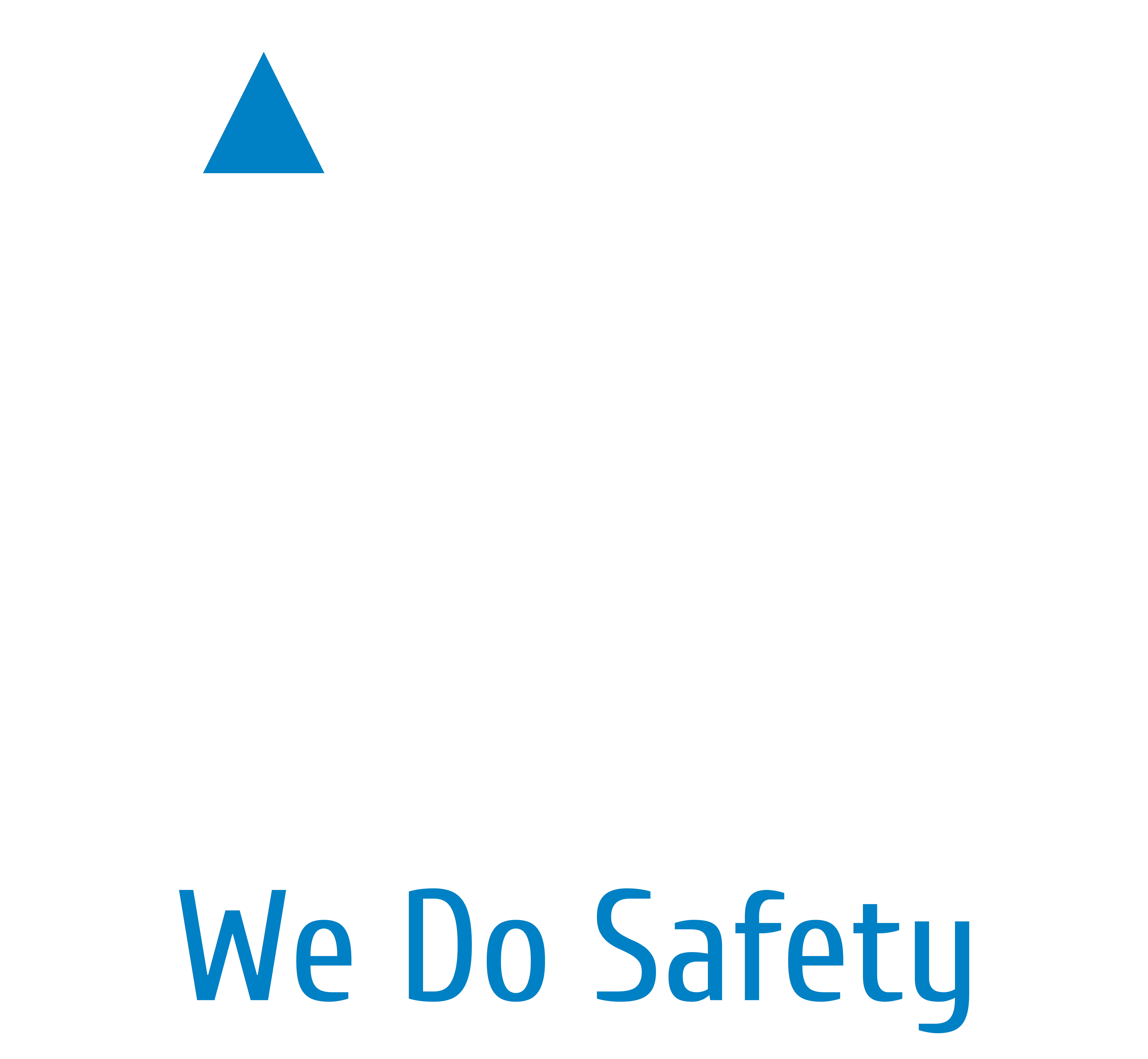 WDS Consulting UG (haftungsbeschränkt)