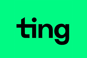 Logo Ting Community