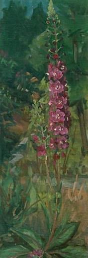Gartenblume Ölbild von Richard Wannenmacher 1986 19x49cm Nr.905