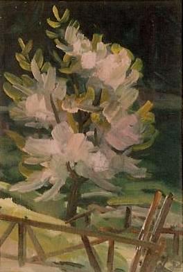 Kirschbaum im Blust Ölbild von Richard Wannenmacher 1992 14x20cm Nr.809