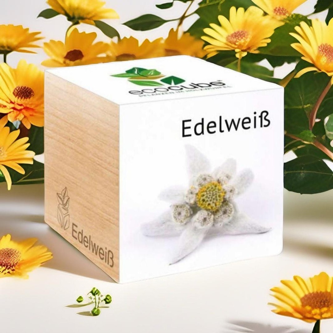 Edelweiss - Ecocube