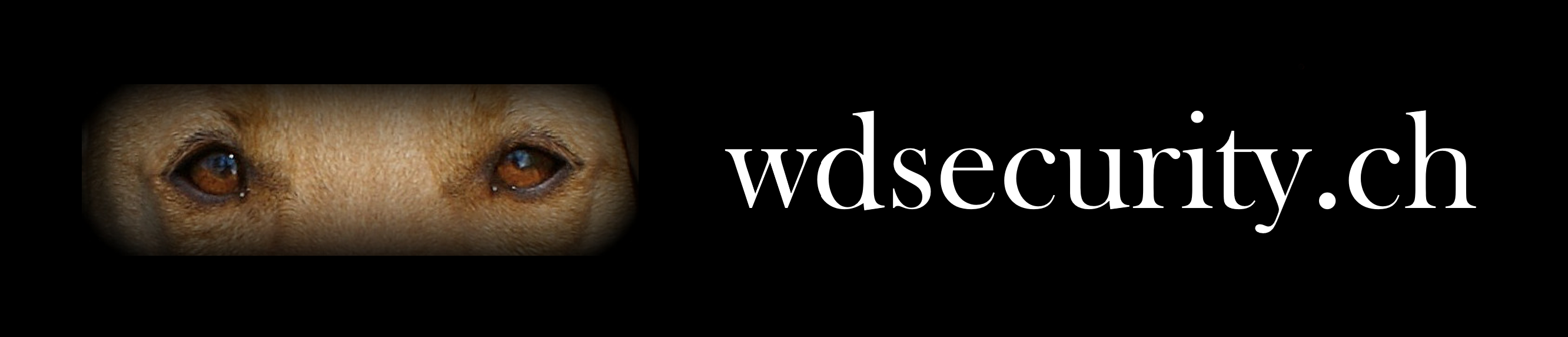 Logo WD Security