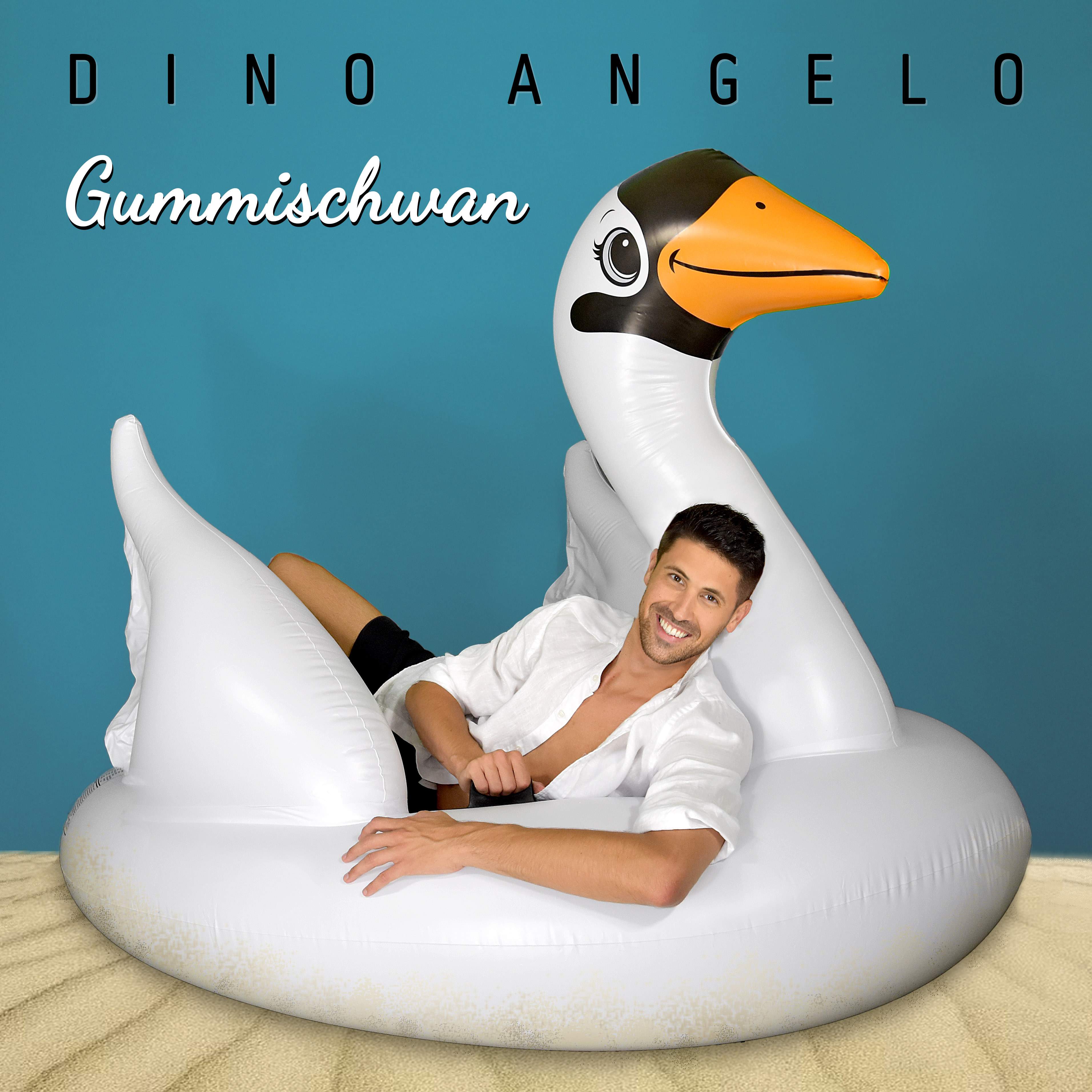 Cover-Bild der Single "Gummischwan"