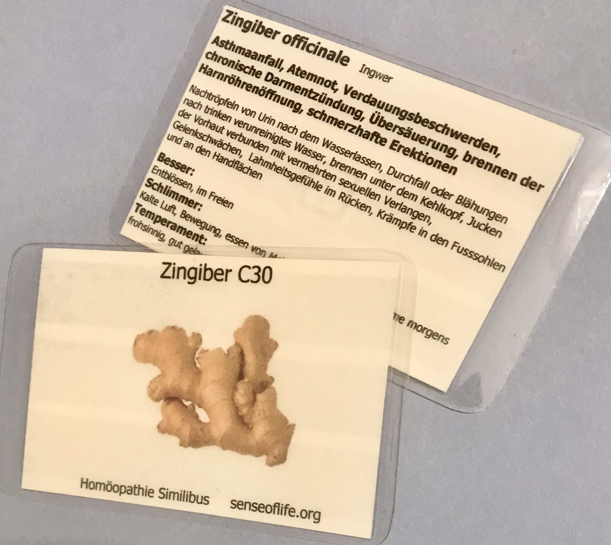 Zingiber officinale Similibus-Bio-Chip