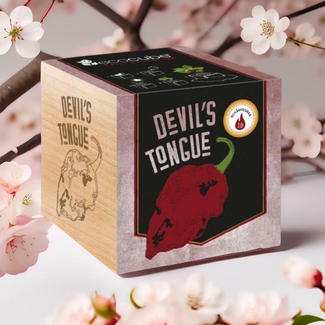 Devil`s Tongue Ecocube