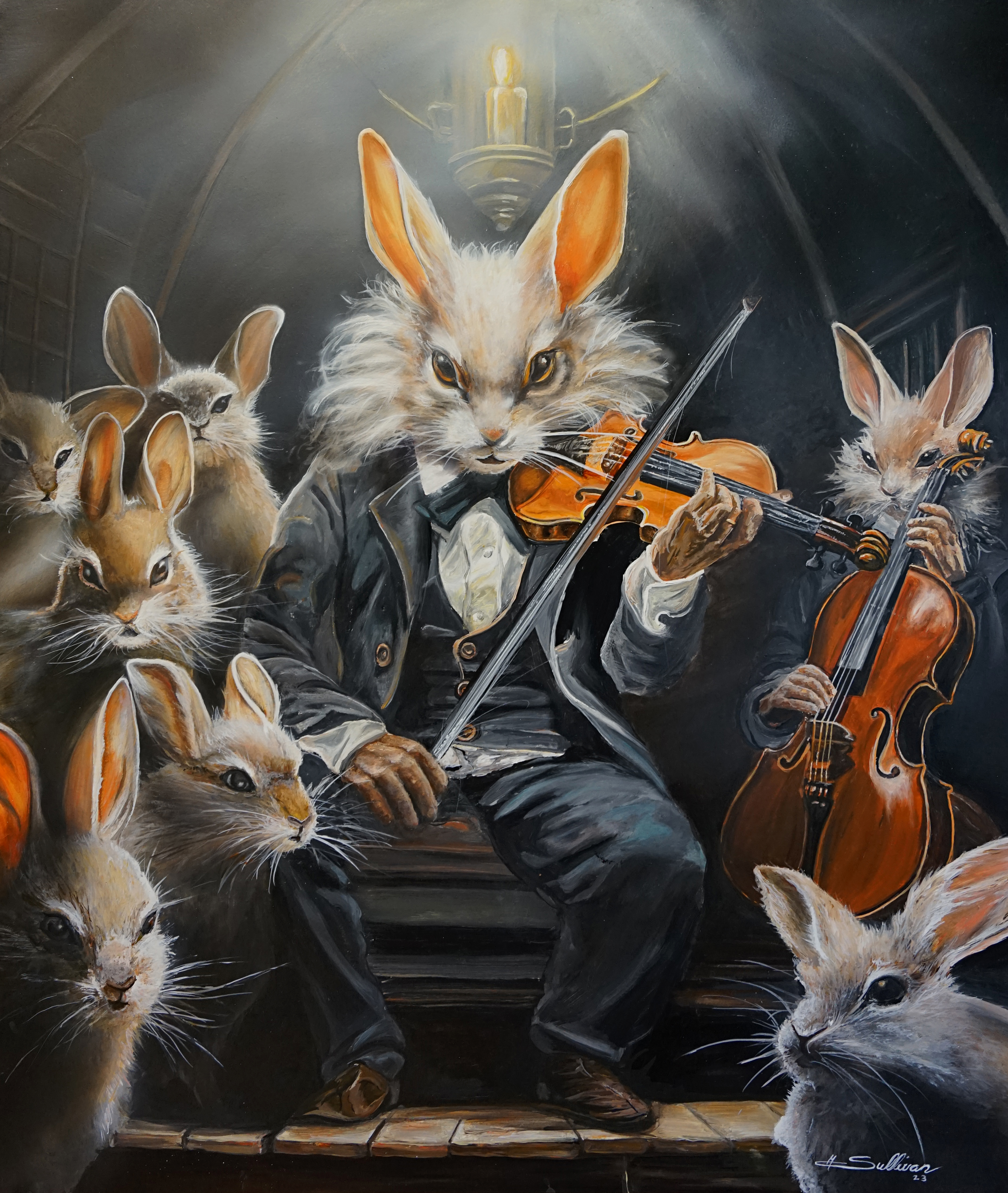 Concertmaster- Erste Geige