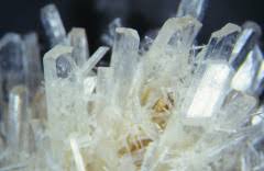 Nr. 12 Calcium sulfuricum D 6 Schüssler Similibus-Bio-Chip