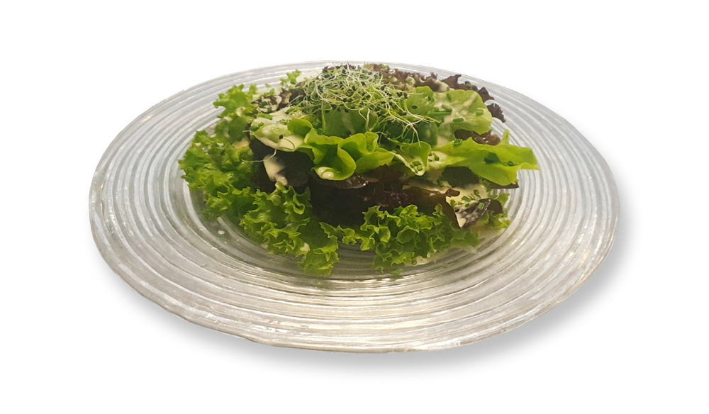 SalatKlein