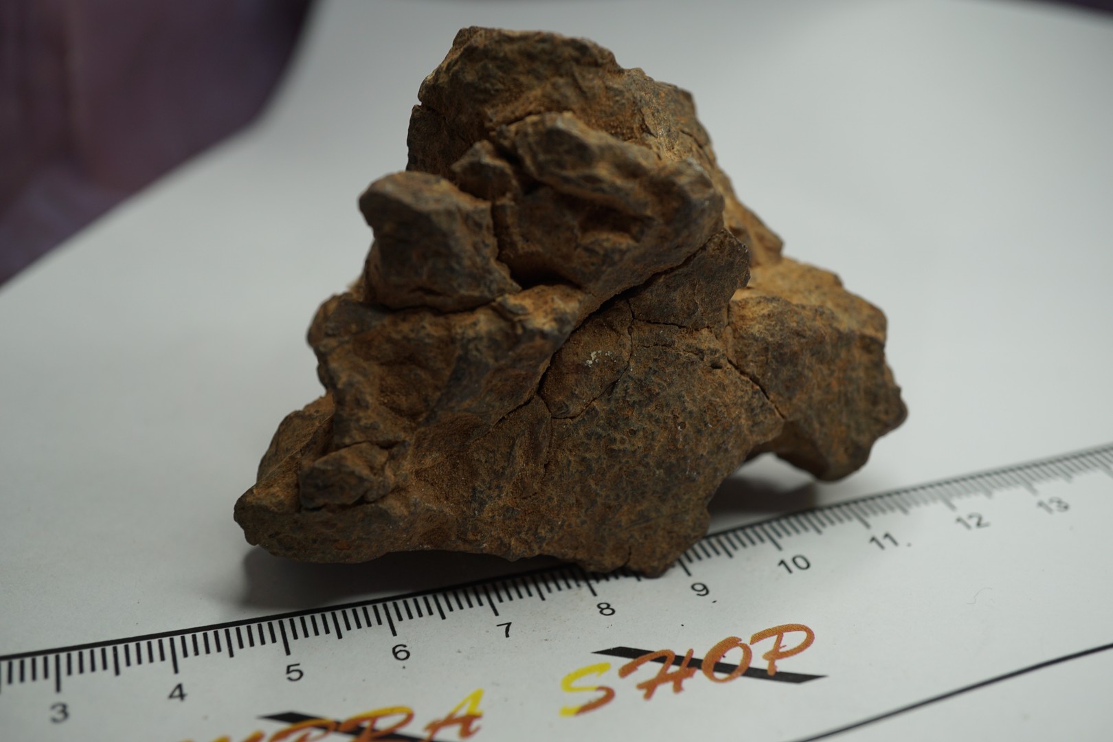 NWA 2965 Meteorit