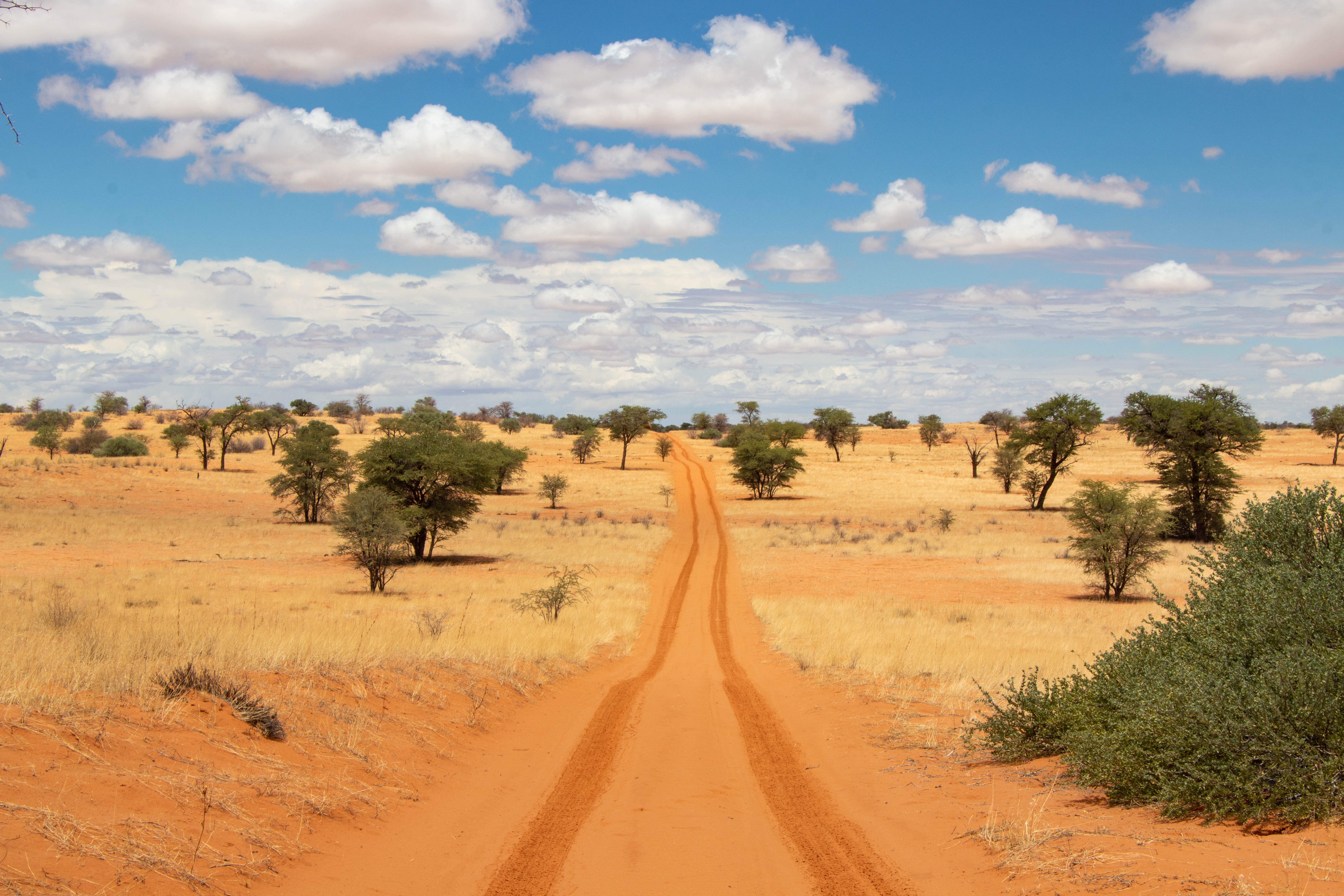 Botswana Reise 2022, Kalahari