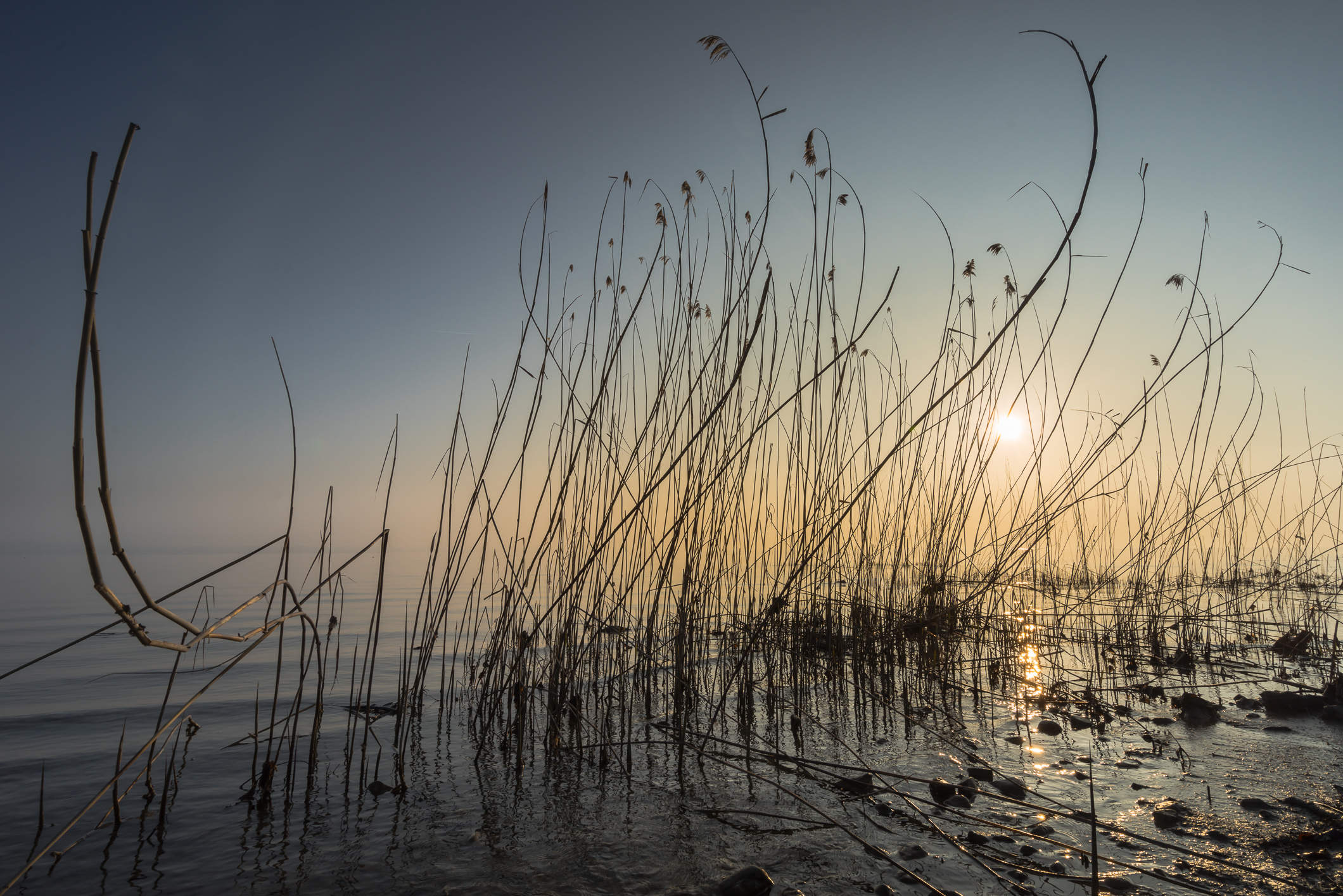 Morgendämmerung am Ufer des Bodensees