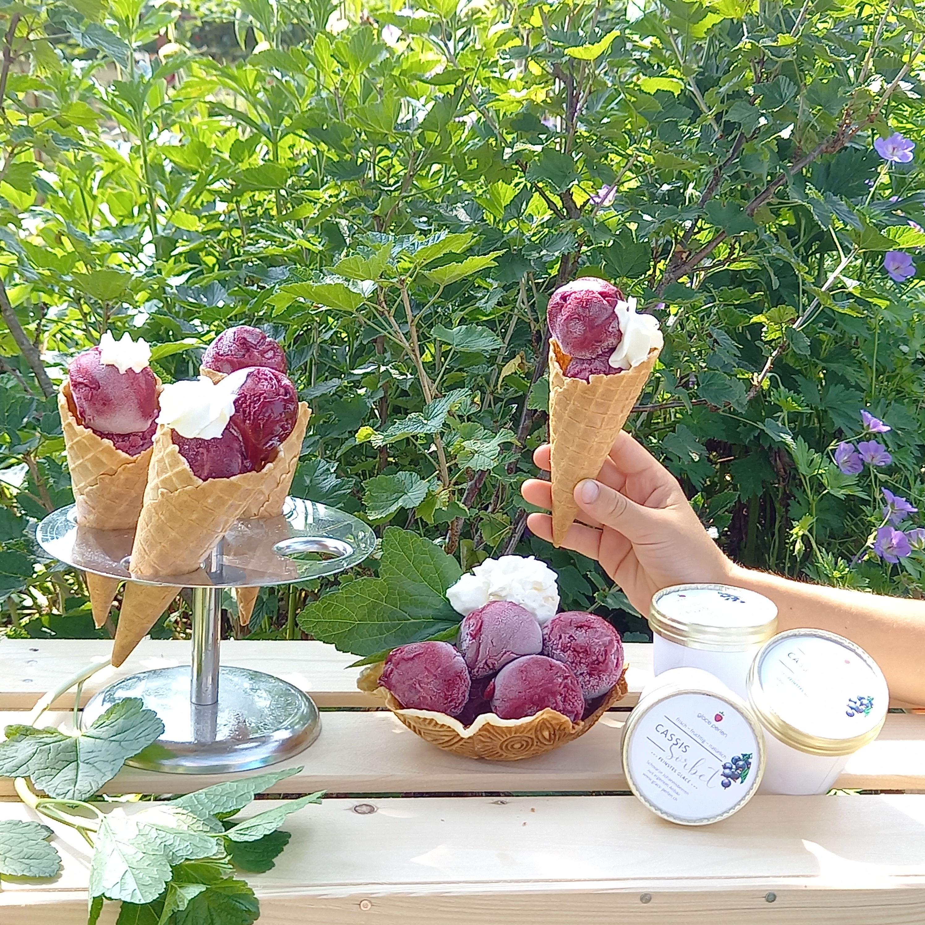 Cassis Sorbet - unsere neue Perle!