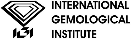 IGI Logo