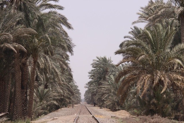 Train to Nowhere, oder war‘s Luxor?
