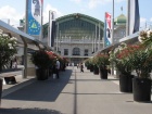 die Oleander"Allee" vor dem Bahnhof SBB
