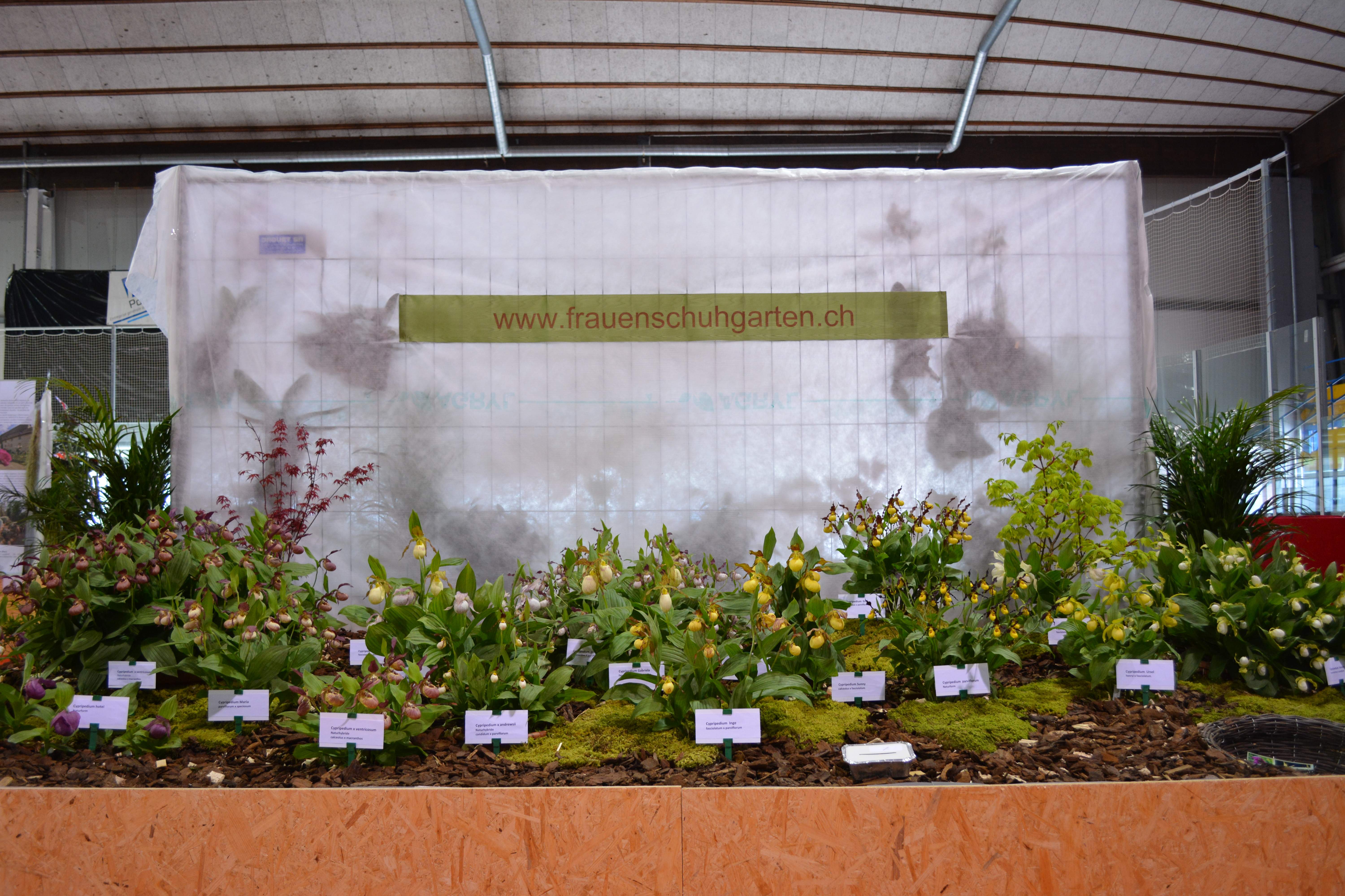 Internationale Orchideenausstellung in Yverdon (20. April 2015)