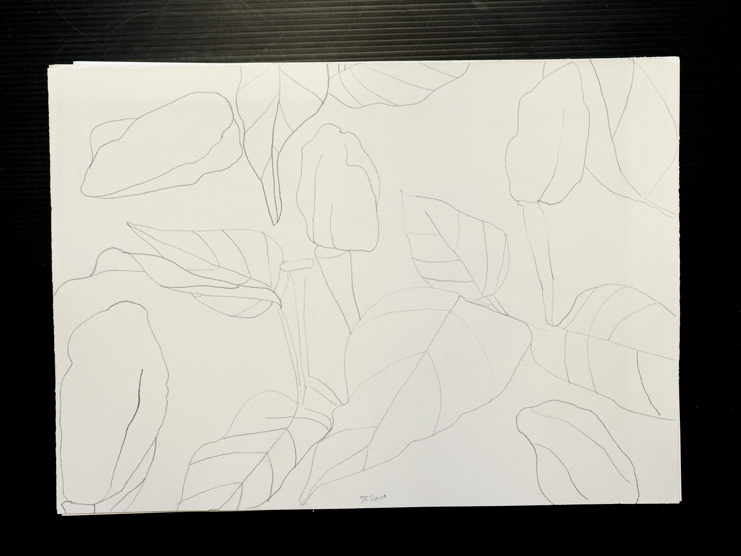 Bleistift auf Papier. 25 x 35 cm.