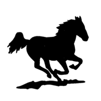 Mustang Pferdesport GmbH