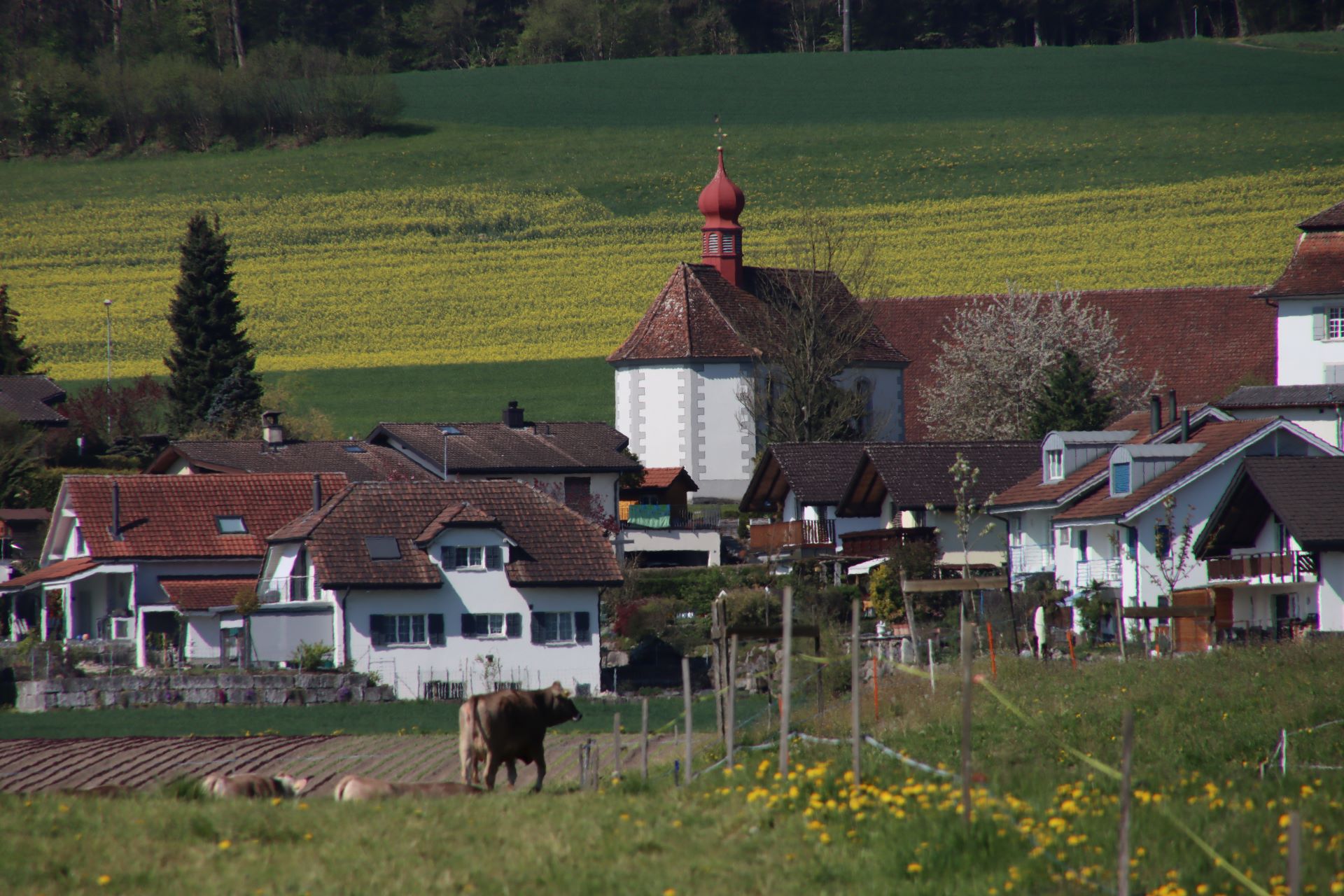 Das Freiamt ist mehrheitlich katholisch, so auch die kleine Gemeinde Aristau