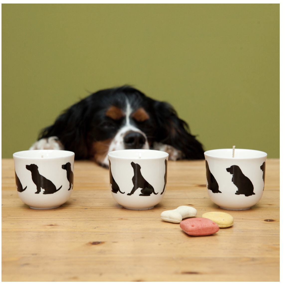 Kerze in Keramikschale mit Hundemotiv