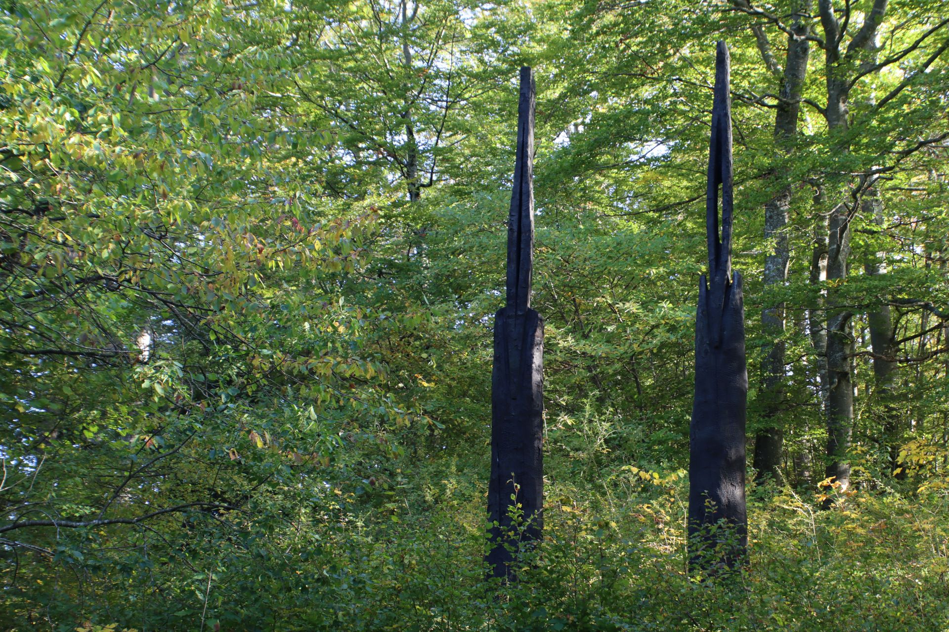 "Two charred vessels" von David Nash, Kastanie, 1997