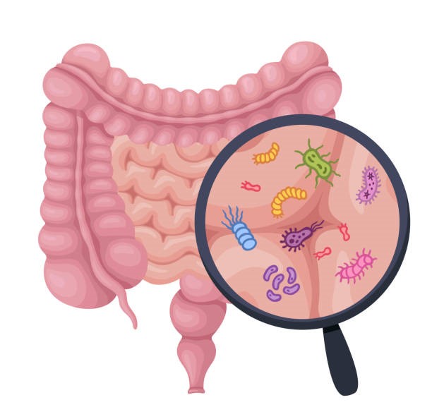 Mikrobiomanalyse für deine Gesundheit