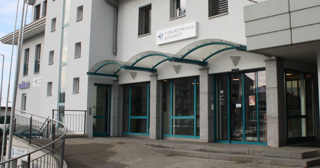Neue Adresse des Tierarztes in Büron, tätig für die Region Sursee, Luzern