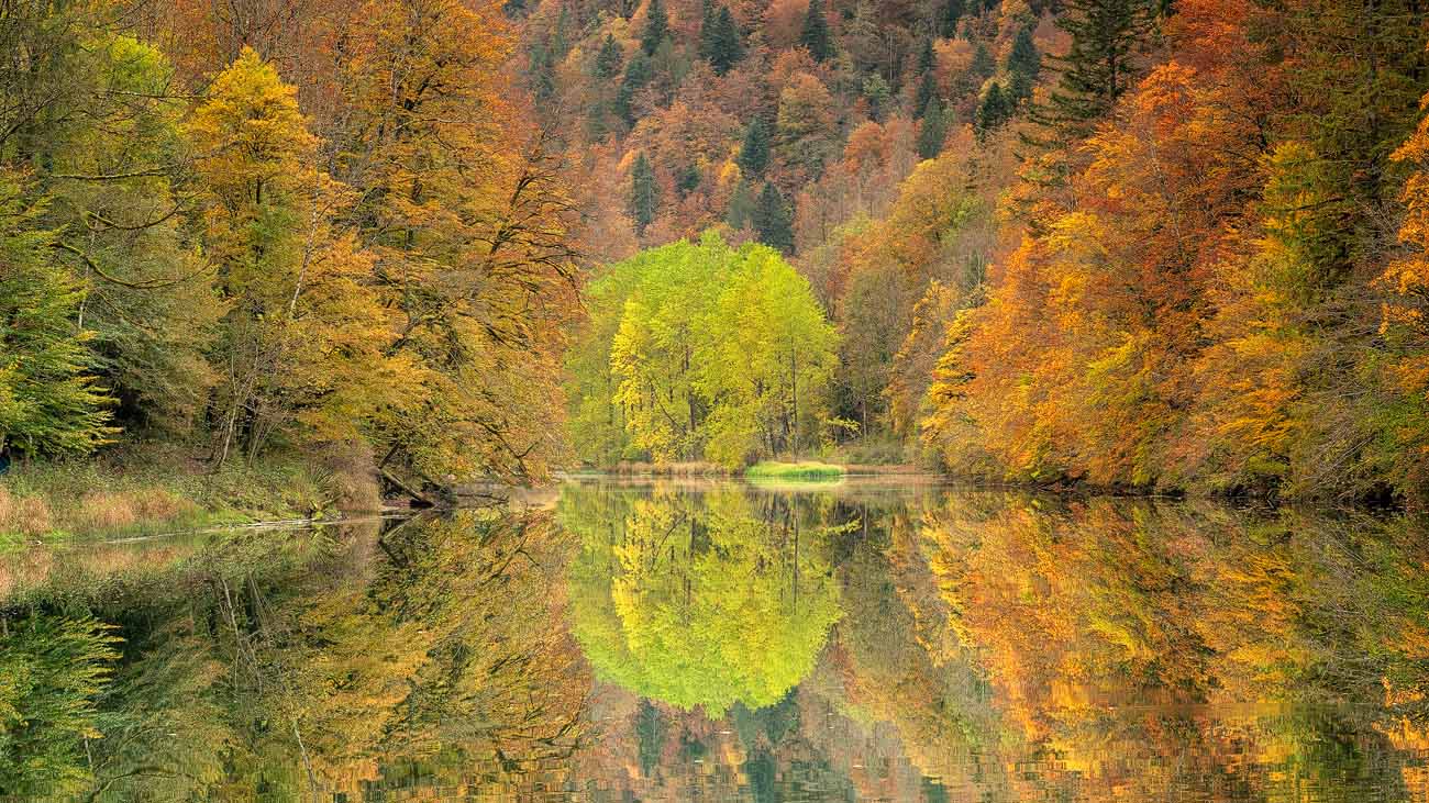 Fotoworkshop - Herbstlicher Jura