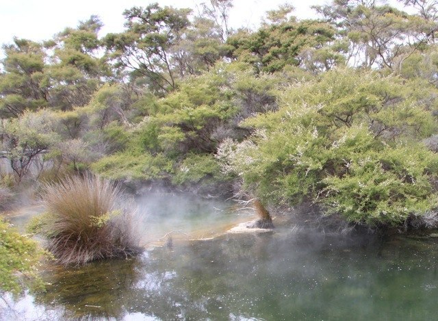 steaming lakes
