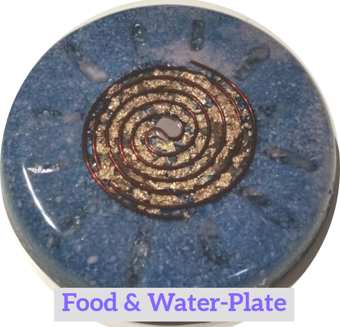 Food & Water-Plate