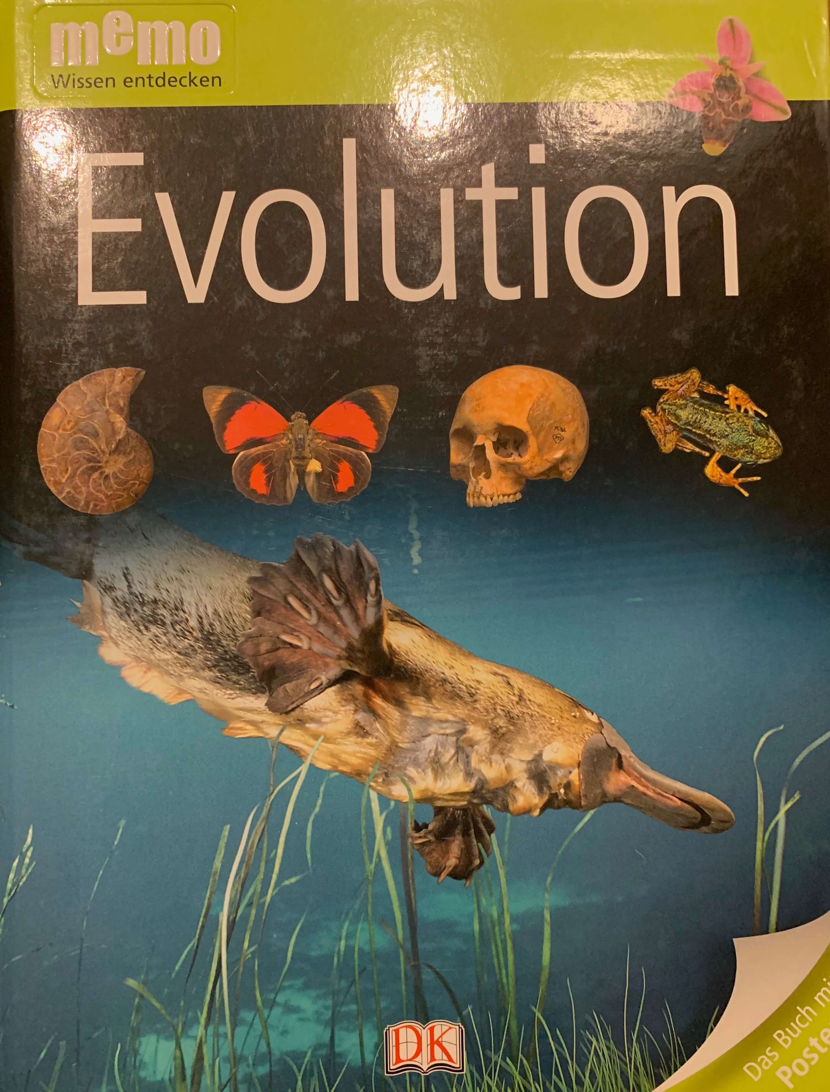 memo Wissen entdecken - Evolution