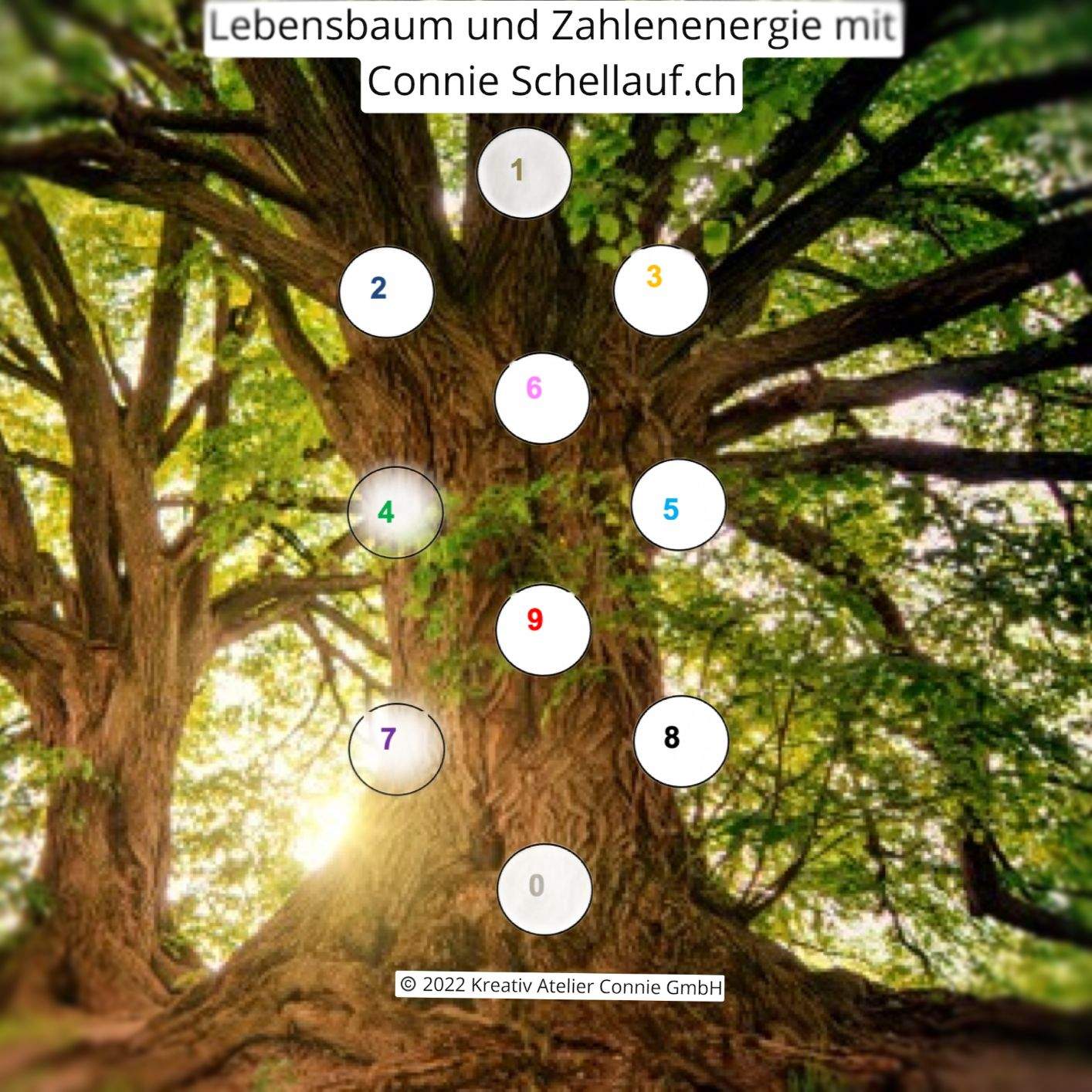 Lebensbaum und Zahlenenergie Seminar mit Connie Schellauf.ch