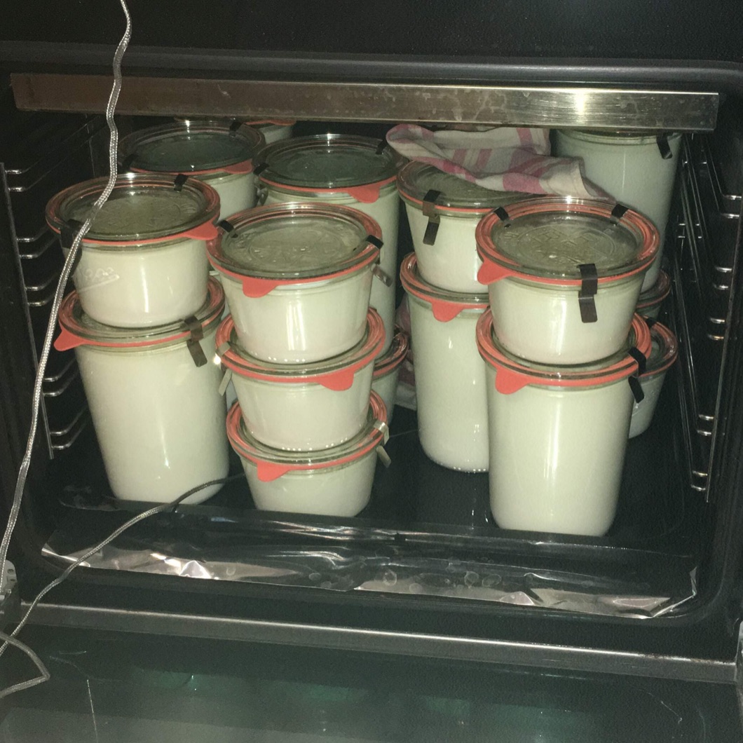 Rohmilch-Joghurts im "Gärschrank"