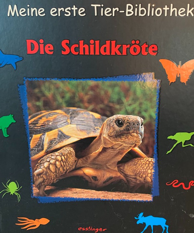 Meine erste Tier-Bibliothek - Die Schildkröte