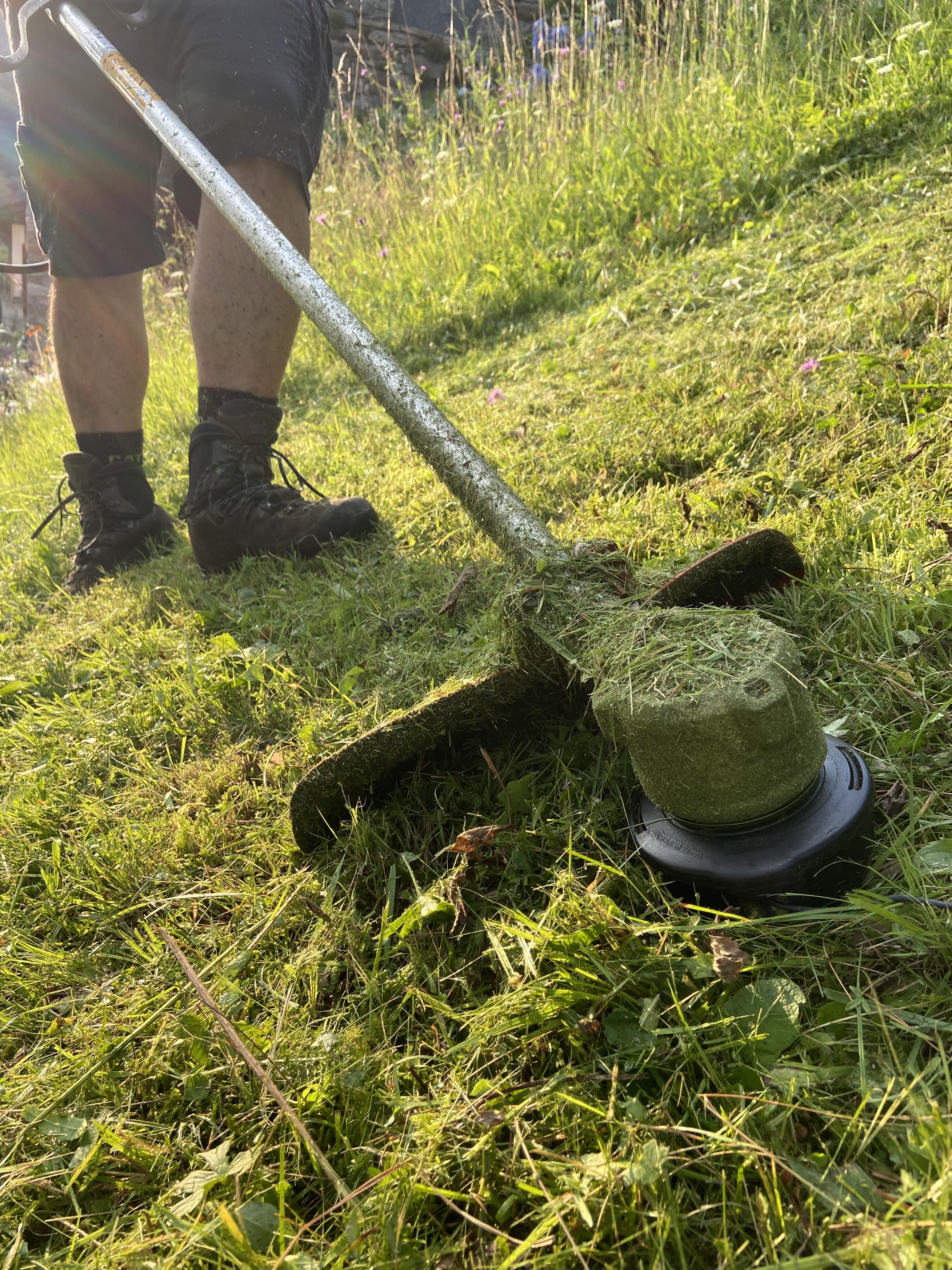 Gartenpflege, Rasen mähen, Schnitt, Umgebungspflege, Hecke schneiden, trimmern