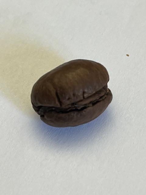 Pearlbeans Coffee, 100% Vietnam Single Origin, 100 Gramm