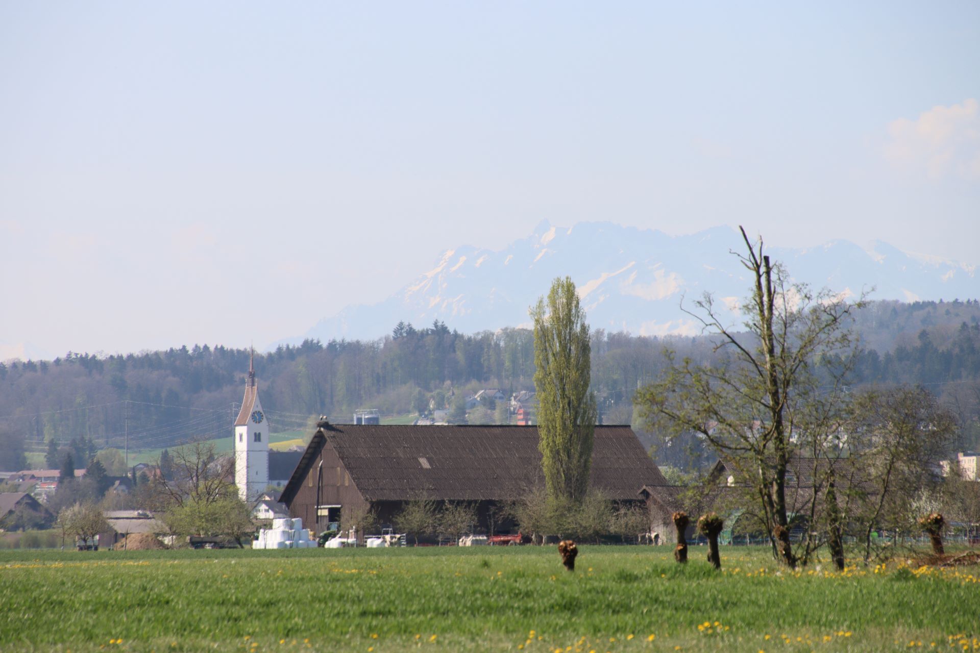 Schnell sind wir im Aargau, sowohl Richtung Bremgarten, als auch ennet der Reuss