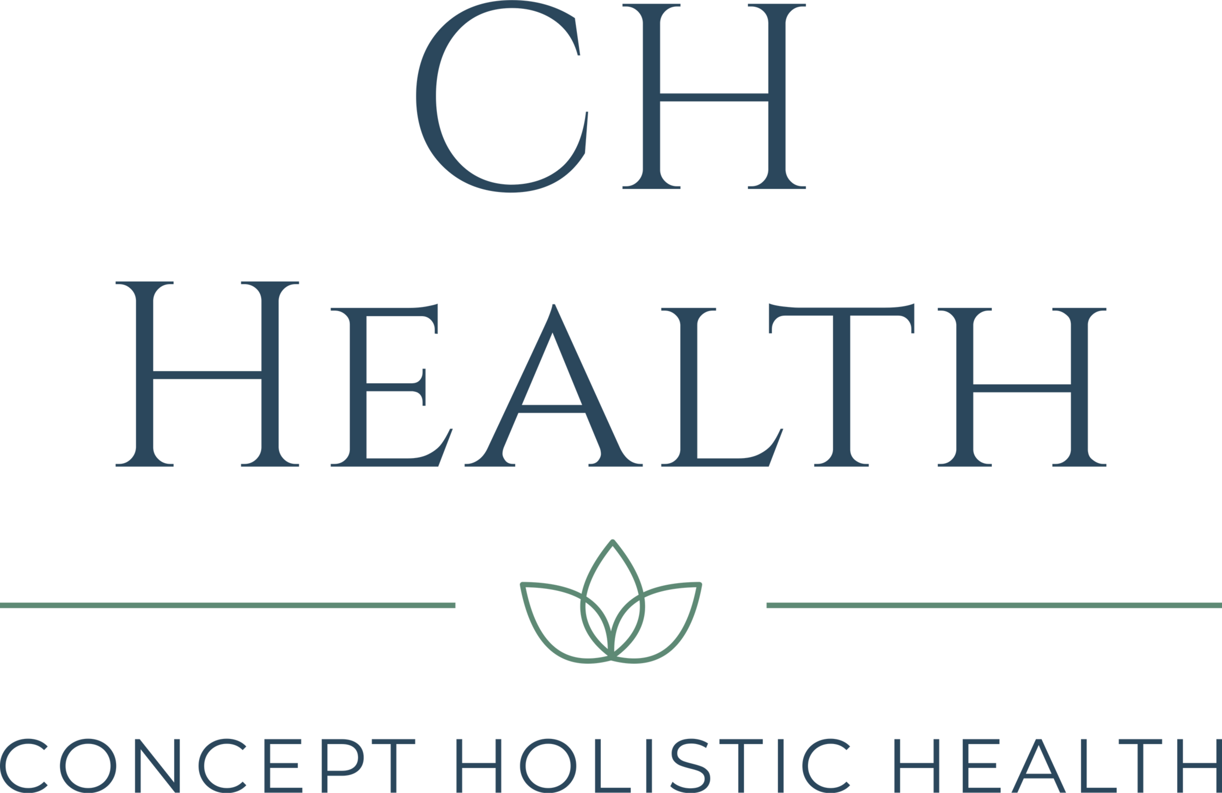 Concept Holistic Health 