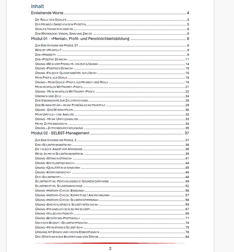 Workbook - Big Save - Goalie-Mentaltraining