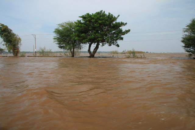 In der Regenzeit sind die meisten Felder überflutet
