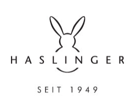Logo Haslingerpng