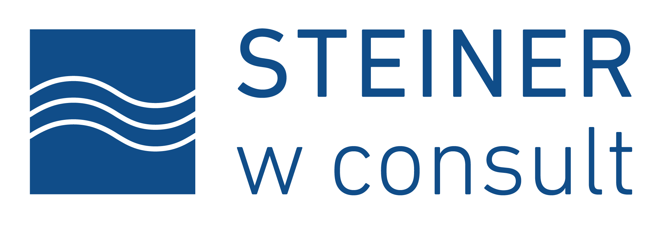 STEINER W-Consult