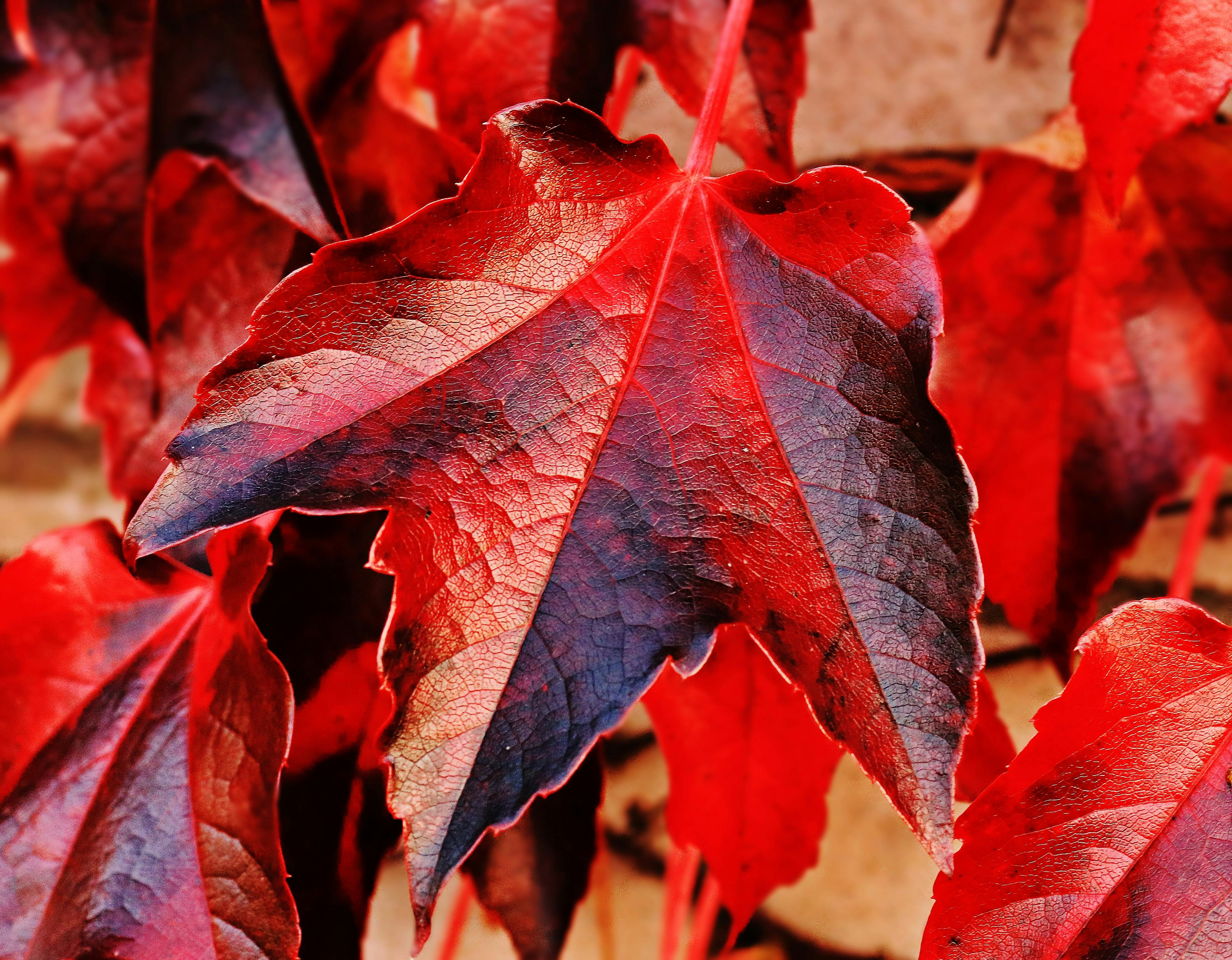 Gedanken und Tipps zur Herbsttagundnachtgleiche