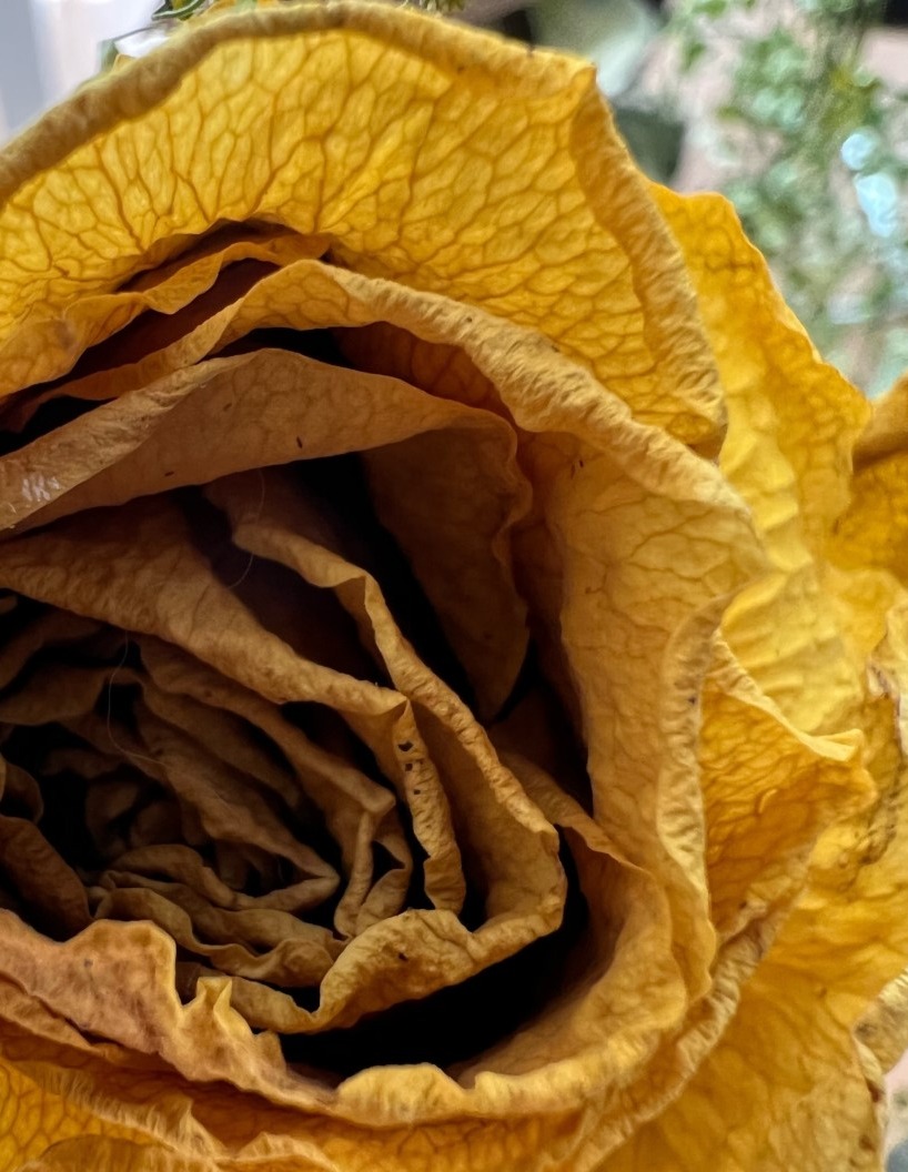 Persönliche Blüte in deinem Schmuckstück