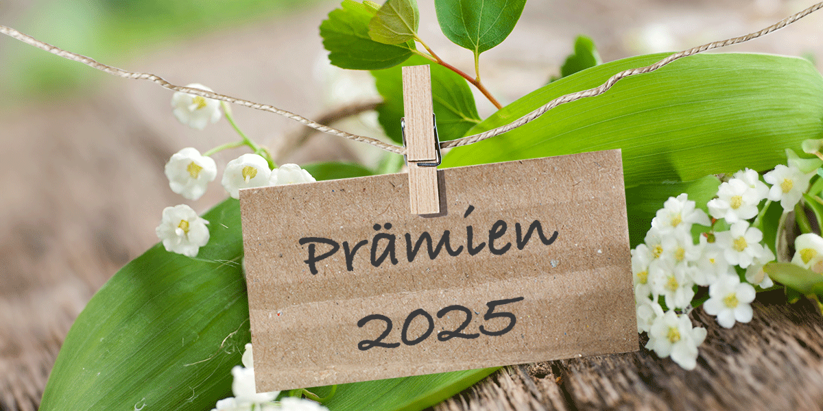 Krankenkassen-Prämien 2025