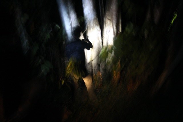 Nachtspaziergang auf der Suche nach Skorpionen (die eigentlich keiner von uns finden will...)