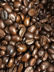 Kaffee Pflanze (2 Grössen) ca. 10 cm oder ca. 15-25 cm Höhe