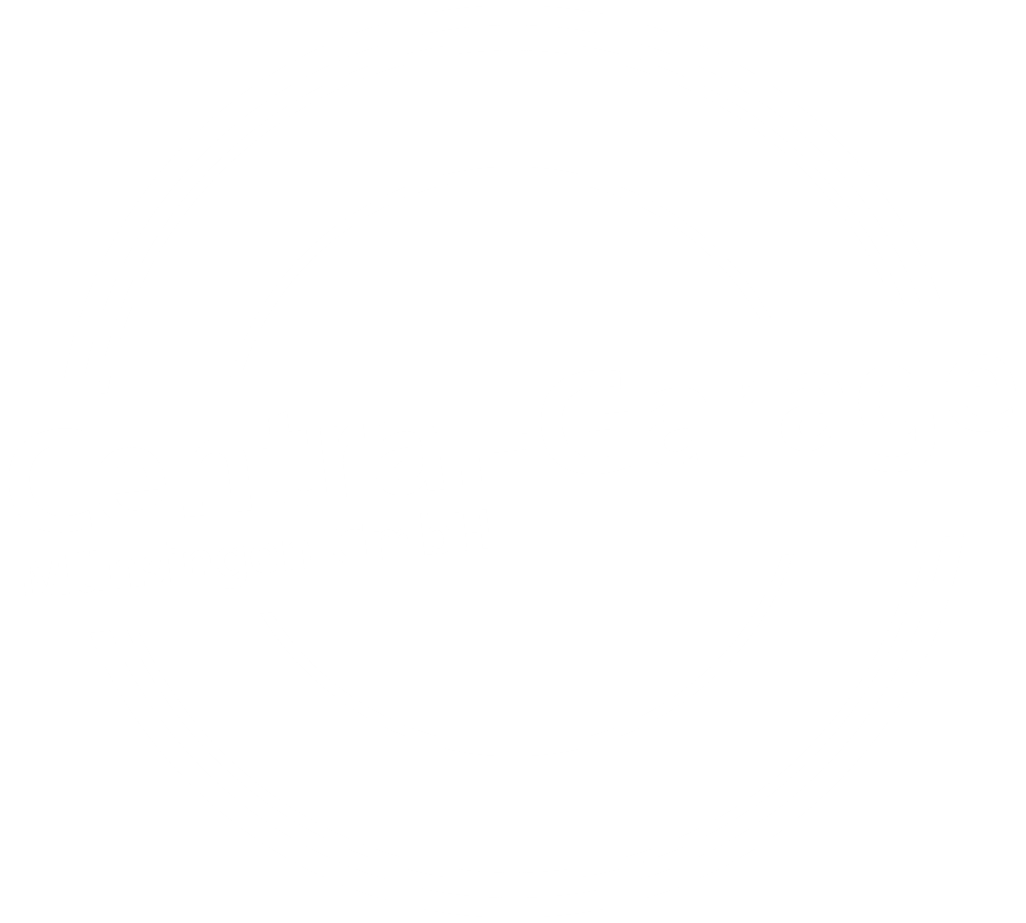 Central-Garage Münsingen GmbH